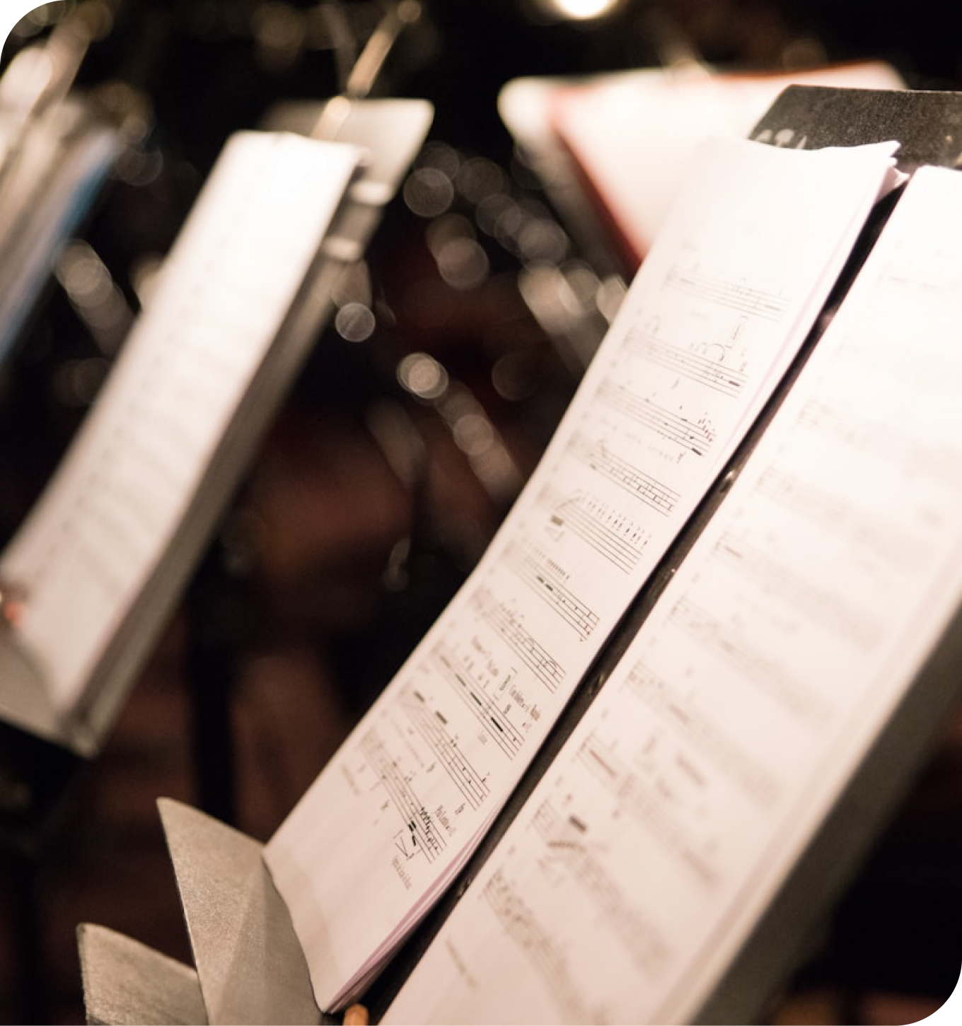 A community-driven association